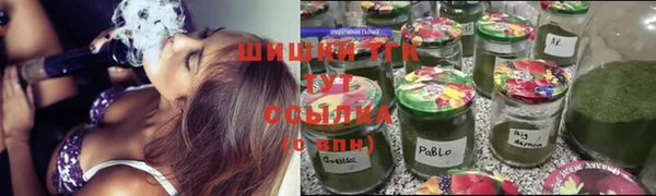 мдпв Краснослободск