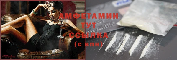 мдпв Краснослободск