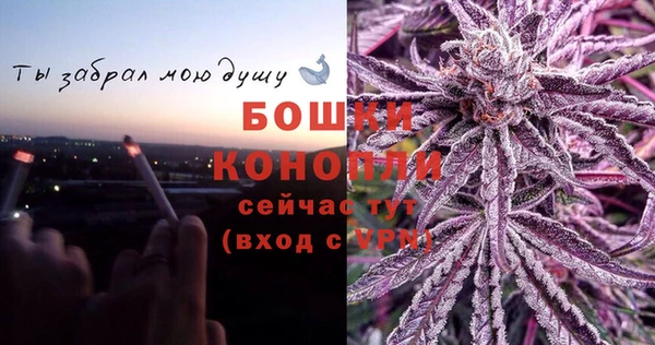 мдпв Краснослободск