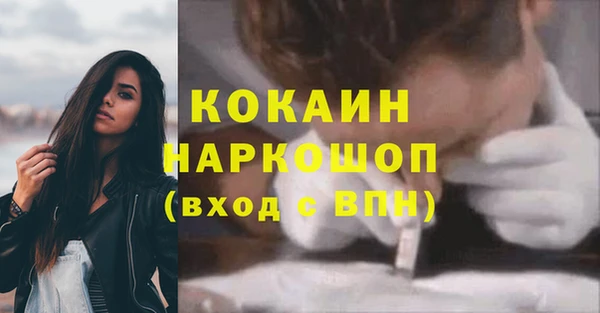 мдпв Краснослободск