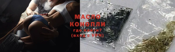 мдпв Краснослободск