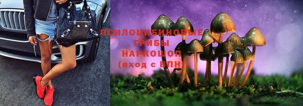 мдпв Краснослободск