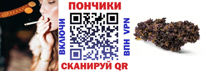 Каннабис планчик  купить закладку  Пугачёв 